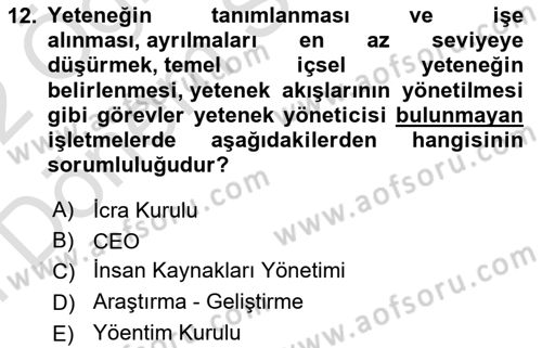 İnsan Kaynaklarında Güncel Yaklaşımlar Dersi 2021 - 2022 Yılı (Final) Dönem Sonu Sınav Soruları 12. Soru