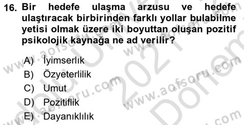 İnsan Kaynaklarında Güncel Yaklaşımlar Dersi 2021 - 2022 Yılı (Final) Dönem Sonu Sınav Soruları 16. Soru