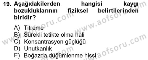 Görüşme Teknikleri Dersi 2012 - 2013 Yılı (Final) Dönem Sonu Sınavı 19. Soru