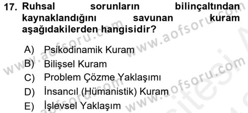 Görüşme Teknikleri Dersi 2017 - 2018 Yılı (Vize) Ara Sınavı 17. Soru