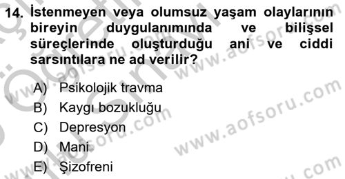 Görüşme Teknikleri Dersi 2018 - 2019 Yılı Yaz Okulu Sınavı 14. Soru