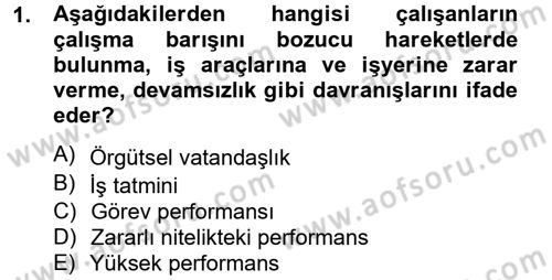 Performans Yönetimi Dersi 2012 - 2013 Yılı (Vize) Ara Sınavı 1. Soru