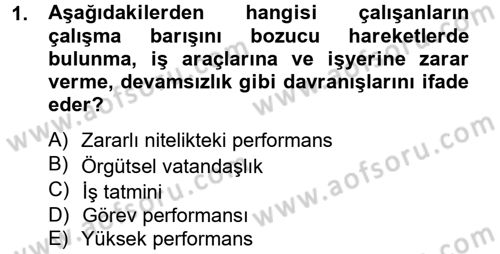 Performans Yönetimi Dersi 2013 - 2014 Yılı Tek Ders Sınavı 1. Soru