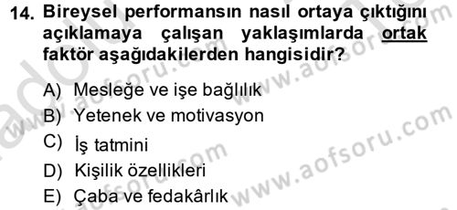 Performans Yönetimi Dersi 2014 - 2015 Yılı Tek Ders Sınavı 14. Soru