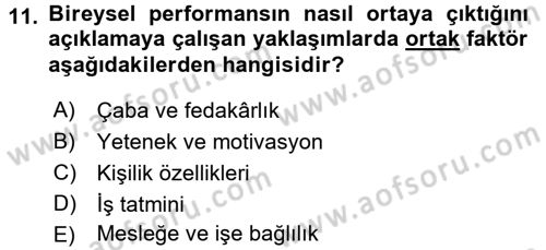 Performans Yönetimi Dersi 2015 - 2016 Yılı (Final) Dönem Sonu Sınavı 11. Soru