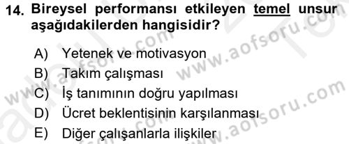 Performans Yönetimi Dersi 2015 - 2016 Yılı Tek Ders Sınav Soruları 14. Soru