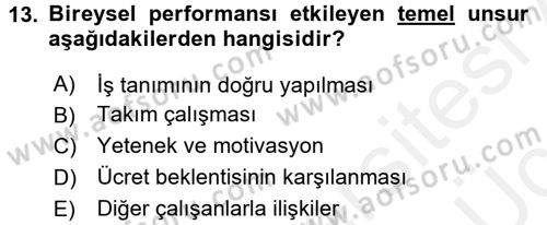 Performans Yönetimi Dersi 2017 - 2018 Yılı 3 Ders Sınavı 13. Soru