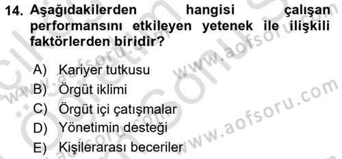 Performans Yönetimi Dersi 2023 - 2024 Yılı (Final) Dönem Sonu Sınav Soruları 14. Soru