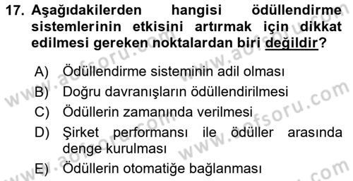 Performans Yönetimi Dersi 2023 - 2024 Yılı (Final) Dönem Sonu Sınav Soruları 17. Soru