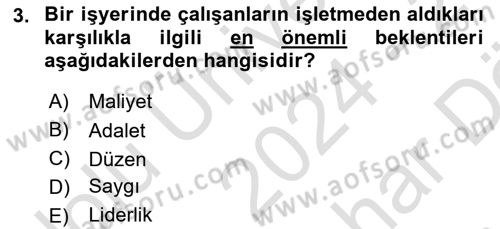 Performans Yönetimi Dersi 2024 - 2025 Yılı (Vize) Ara Sınav Soruları 3. Soru