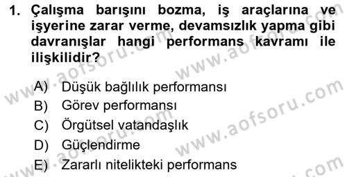 Performans Yönetimi Dersi 2024 - 2025 Yılı (Final) Dönem Sonu Sınav Soruları 1. Soru