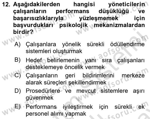 Performans Yönetimi Dersi 2024 - 2025 Yılı (Final) Dönem Sonu Sınav Soruları 12. Soru
