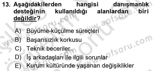 Performans Yönetimi Dersi 2024 - 2025 Yılı (Final) Dönem Sonu Sınav Soruları 13. Soru
