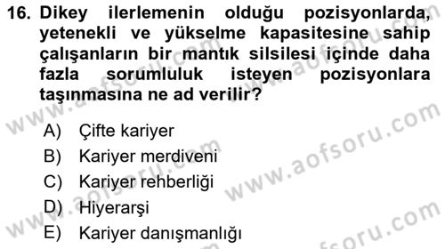 Performans Yönetimi Dersi 2024 - 2025 Yılı (Final) Dönem Sonu Sınav Soruları 16. Soru