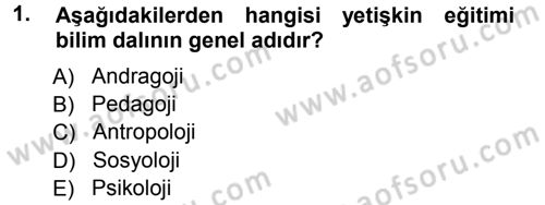 İşletmelerde Eğitim ve Geliştirme Dersi 2012 - 2013 Yılı (Vize) Ara Sınav Soruları 1. Soru