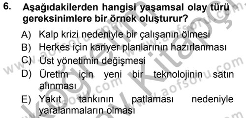 İşletmelerde Eğitim ve Geliştirme Dersi Ara Sınavı Deneme Sınav Soruları 6. Soru