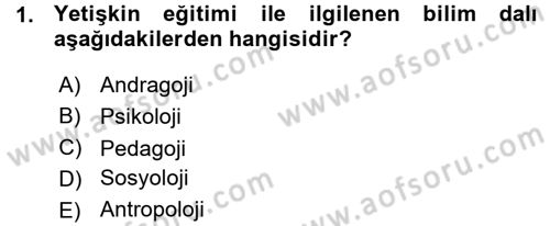 İşletmelerde Eğitim ve Geliştirme Dersi 2015 - 2016 Yılı (Vize) Ara Sınav Soruları 1. Soru