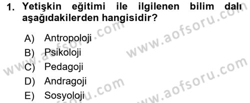 İşletmelerde Eğitim ve Geliştirme Dersi 2015 - 2016 Yılı Tek Ders Sınav Soruları 1. Soru