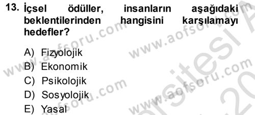 Ücret ve Ödül Yönetimi Dersi 2014 - 2015 Yılı Tek Ders Sınav Soruları 13. Soru