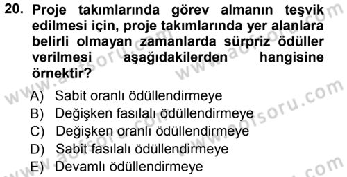 Ücret ve Ödül Yönetimi Dersi 2014 - 2015 Yılı Tek Ders Sınav Soruları 20. Soru