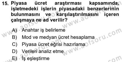 Ücret ve Ödül Yönetimi Dersi 2016 - 2017 Yılı (Vize) Ara Sınavı 15. Soru