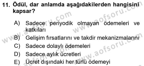 Ücret ve Ödül Yönetimi Dersi 2016 - 2017 Yılı (Final) Dönem Sonu Sınav Soruları 11. Soru