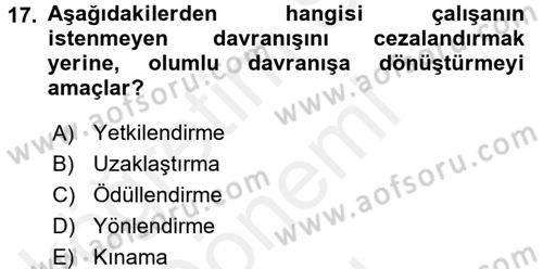 Ücret ve Ödül Yönetimi Dersi 2016 - 2017 Yılı (Final) Dönem Sonu Sınav Soruları 17. Soru