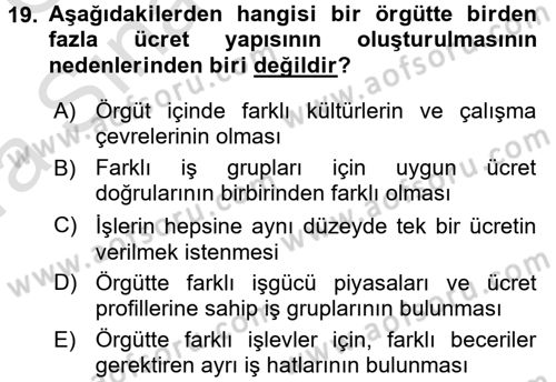 Ücret ve Ödül Yönetimi Dersi 2017 - 2018 Yılı (Vize) Ara Sınav Soruları 19. Soru