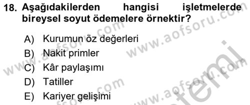 Ücret ve Ödül Yönetimi Dersi 2018 - 2019 Yılı Yaz Okulu Sınav Soruları 18. Soru