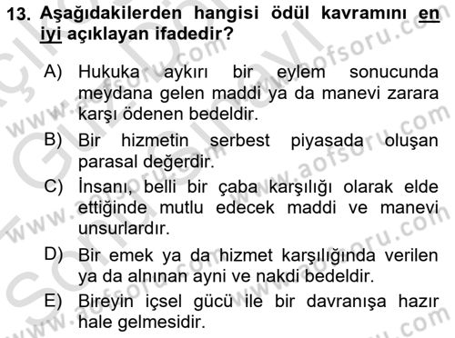 Ücret ve Ödül Yönetimi Dersi 2021 - 2022 Yılı (Final) Dönem Sonu Sınav Soruları 13. Soru