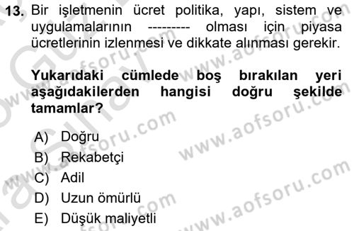 Ücret ve Ödül Yönetimi Dersi 2024 - 2025 Yılı (Vize) Ara Sınav Soruları 13. Soru