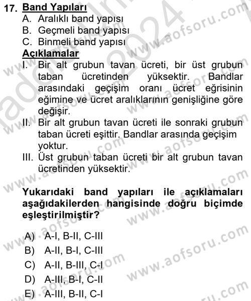 Ücret ve Ödül Yönetimi Dersi 2024 - 2025 Yılı (Vize) Ara Sınav Soruları 17. Soru