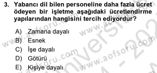 Ücret ve Ödül Yönetimi Dersi 2024 - 2025 Yılı (Vize) Ara Sınav Soruları 3. Soru