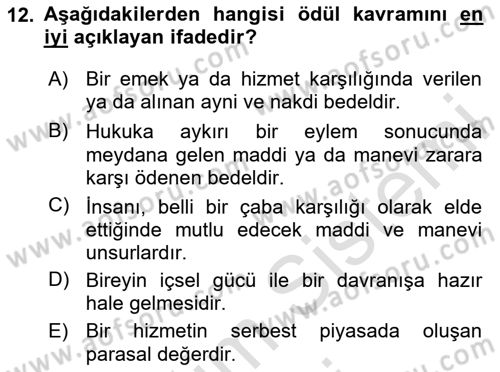 Ücret ve Ödül Yönetimi Dersi 2024 - 2025 Yılı (Final) Dönem Sonu Sınav Soruları 12. Soru