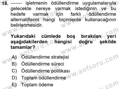 Ücret ve Ödül Yönetimi Dersi 2024 - 2025 Yılı (Final) Dönem Sonu Sınav Soruları 18. Soru