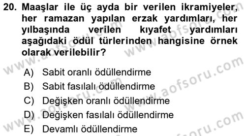Ücret ve Ödül Yönetimi Dersi 2024 - 2025 Yılı (Final) Dönem Sonu Sınav Soruları 20. Soru