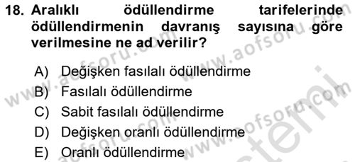 Ücret ve Ödül Yönetimi Dersi 2024 - 2025 Yılı Yaz Okulu Sınav Soruları 18. Soru