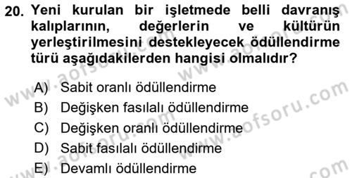 Ücret ve Ödül Yönetimi Dersi 2024 - 2025 Yılı Yaz Okulu Sınav Soruları 20. Soru