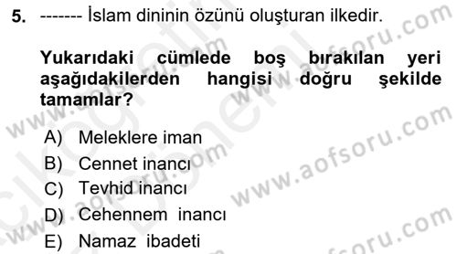 İslam İnanç Esasları Dersi 2018 - 2019 Yılı (Vize) Ara Sınav Soruları 5. Soru