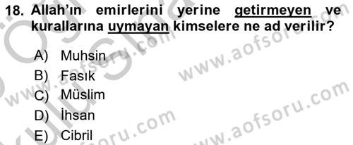 İslam İnanç Esasları Dersi 2018 - 2019 Yılı Yaz Okulu Sınav Soruları 18. Soru