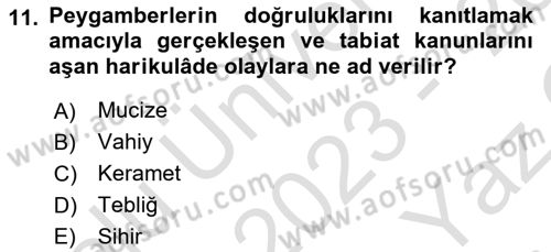 İslam İnanç Esasları Dersi 2023 - 2024 Yılı Yaz Okulu Sınav Soruları 11. Soru