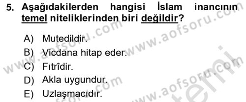 İslam İnanç Esasları Dersi 2024 - 2025 Yılı (Vize) Ara Sınav Soruları 5. Soru