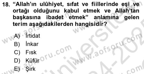 İslam İnanç Esasları Dersi 2024 - 2025 Yılı Yaz Okulu Sınav Soruları 18. Soru