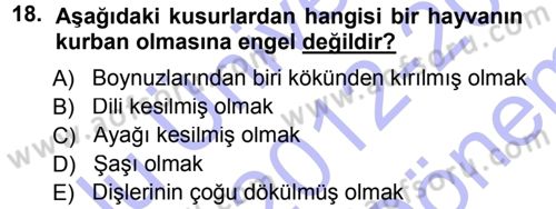 İslam İbadet Esasları Dersi 2012 - 2013 Yılı (Final) Dönem Sonu Sınav Soruları 18. Soru