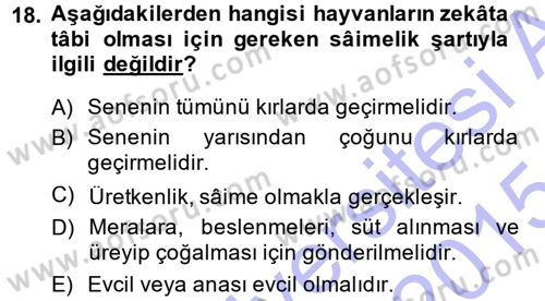 İslam İbadet Esasları Dersi Ara Sınavı Deneme Sınav Soruları 18. Soru