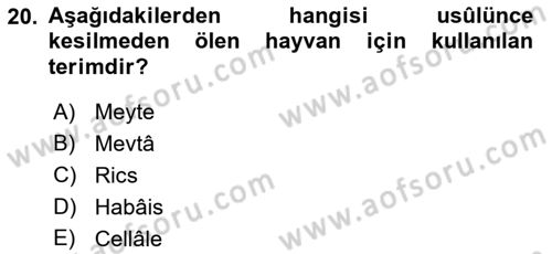 İslam İbadet Esasları Dersi 2018 - 2019 Yılı (Final) Dönem Sonu Sınav Soruları 20. Soru