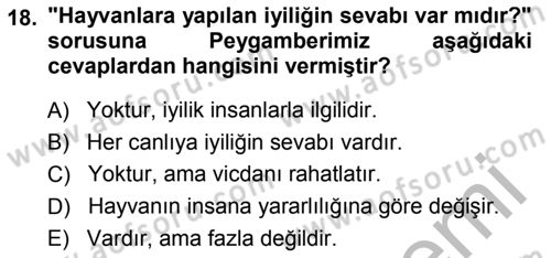 İslam Ahlak Esasları Dersi 2014 - 2015 Yılı (Final) Dönem Sonu Sınav Soruları 18. Soru