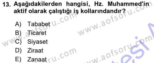 İslam Ahlak Esasları Dersi 2015 - 2016 Yılı (Final) Dönem Sonu Sınav Soruları 13. Soru