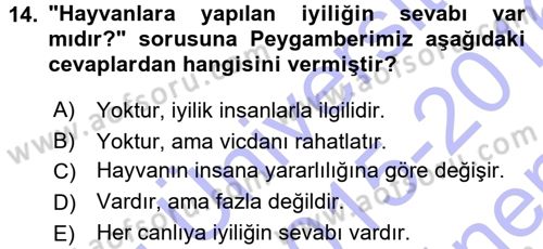 İslam Ahlak Esasları Dersi 2015 - 2016 Yılı (Final) Dönem Sonu Sınav Soruları 14. Soru