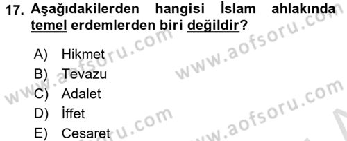İslam Ahlak Esasları Dersi 2016 - 2017 Yılı (Vize) Ara Sınav Soruları 17. Soru